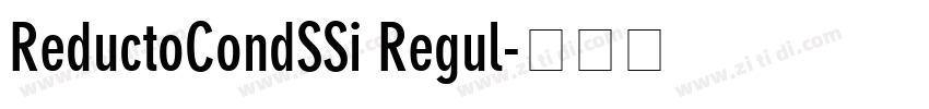 ReductoCondSSi Regul字体转换 ReductoCondSSi Regul字体转换